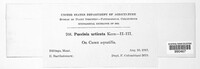 Image Associated With the Occurence